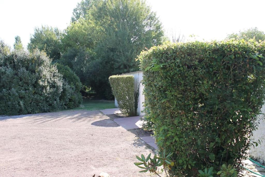 Logement Independant Tres Calme Dans Propriete Saint-Loubès Extérieur photo
