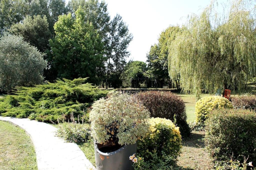 Logement Independant Tres Calme Dans Propriete Saint-Loubès Extérieur photo